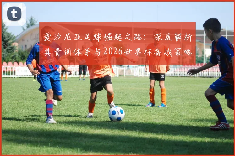 爱沙尼亚足球崛起之路:深度解析其青训体系与2026世界杯备战策略