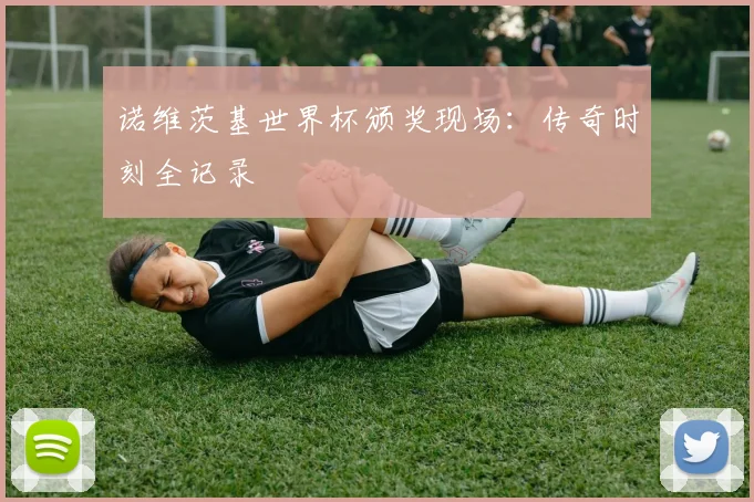 诺维茨基世界杯颁奖现场：传奇时刻全记录