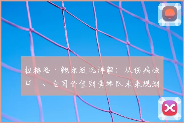 拉梅洛·鲍尔近况详解：从伤病恢复、合同价值到黄蜂队未来规划