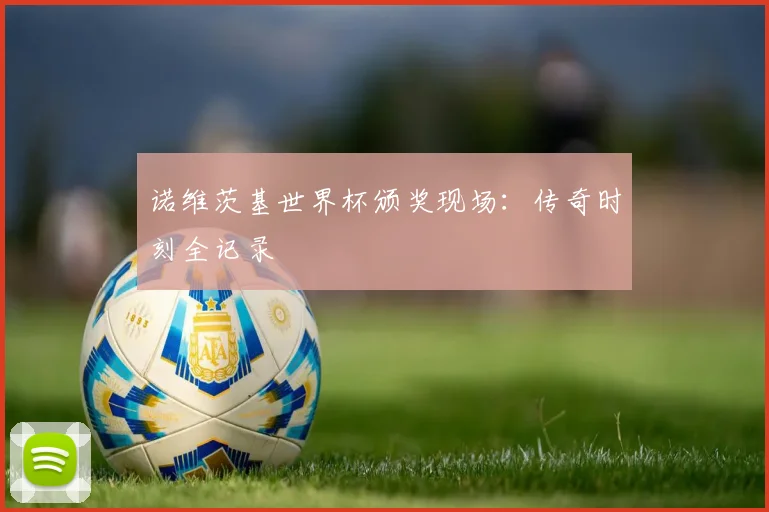 诺维茨基世界杯颁奖现场:传奇时刻全记录